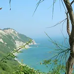 Le Vigne Del Conero