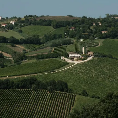 Le Vigne Del Conero Feriegård *