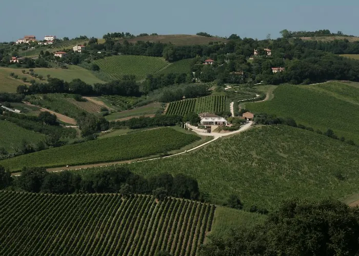 Le Vigne Del Conero Feriegård *