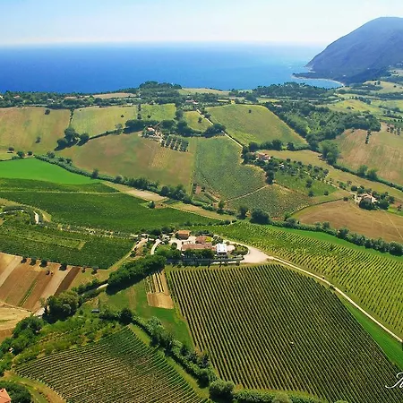 Le Vigne Del Conero Gospodarstwo agroturystyczne
