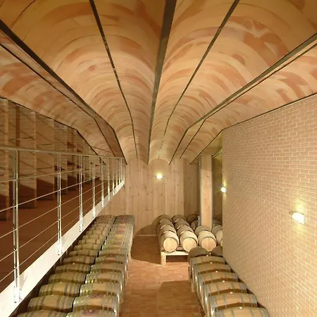 Le Vigne Del Conero