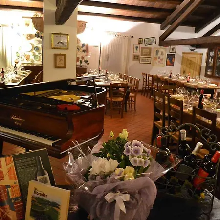 Le Vigne Del Conero * Ankona