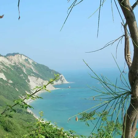 Le Vigne Del Conero