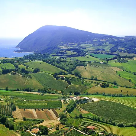 Le Vigne Del Conero Ancona
